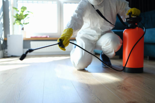 Reliable Blood Cleanup contractor in Pioneertown, CA by Trauma Clean Pros